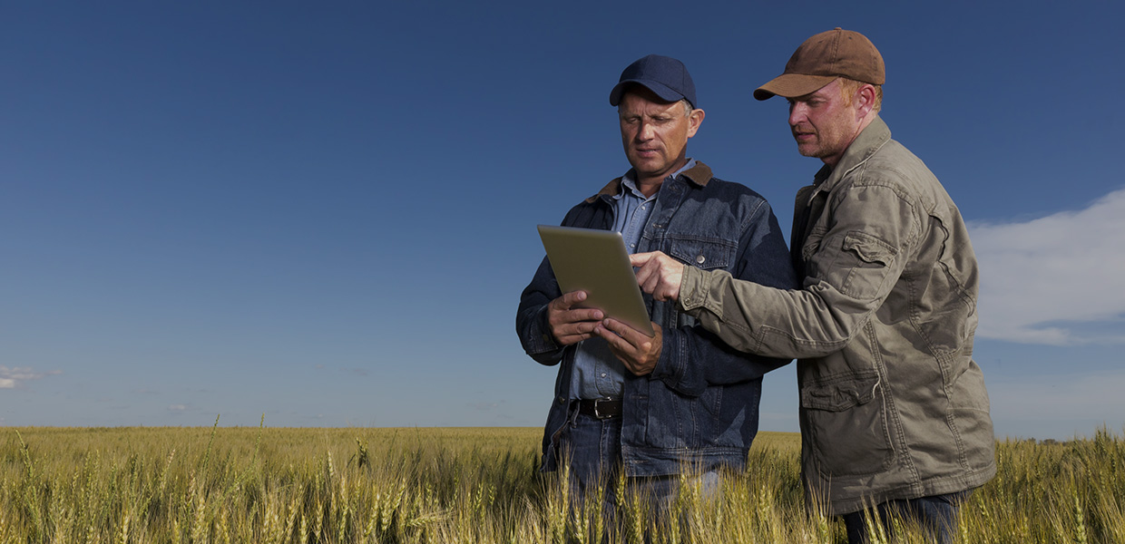 Two farmers in field with ipad